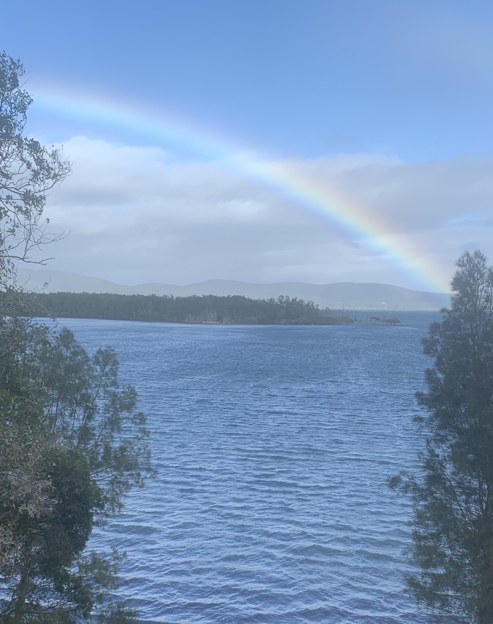 27788D65-278E-44B0-B78A-7B5A6FA257BC