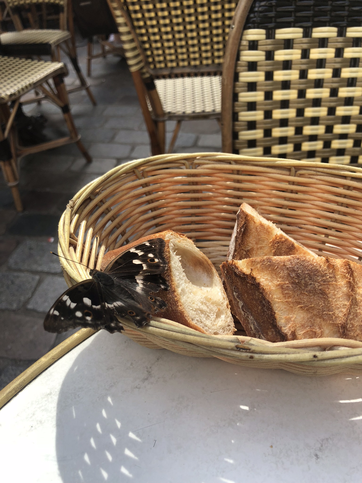 9CD717DE-E9C6-4819-9433-5FB67B4CFA8F